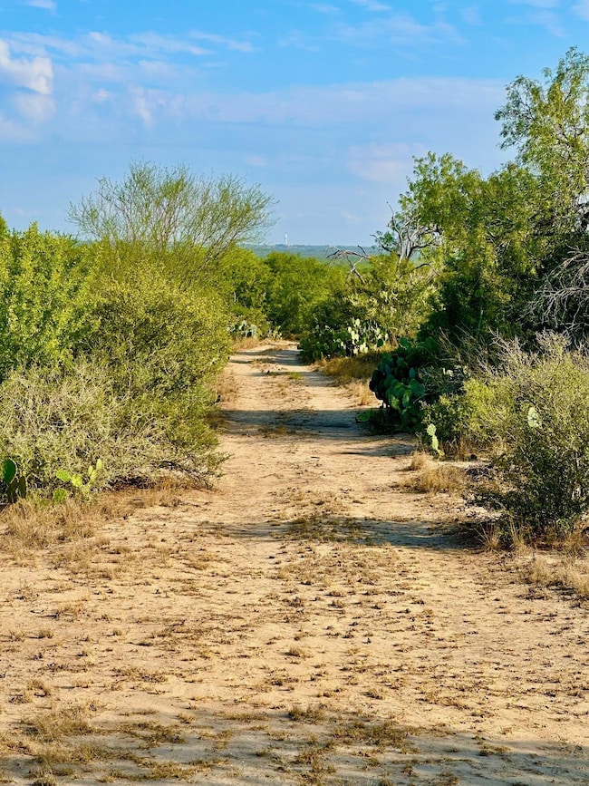 343 County Road 436, Three Rivers, TX 78071 - photo 3