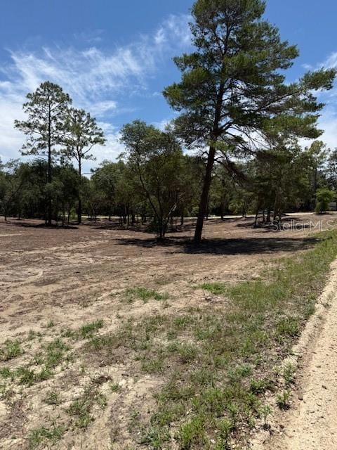 0 SE 148th Ave unit MFROM702851, Williston, FL 32696 - photo 5