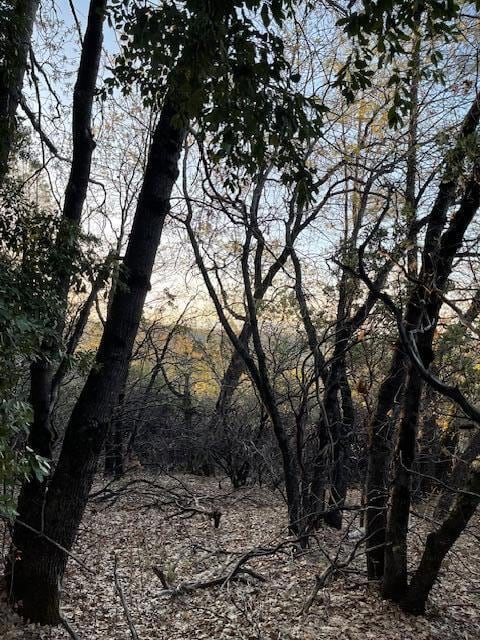 160 Acres Donkey Mine and Madison, Oak Run, CA 96069 - photo 3