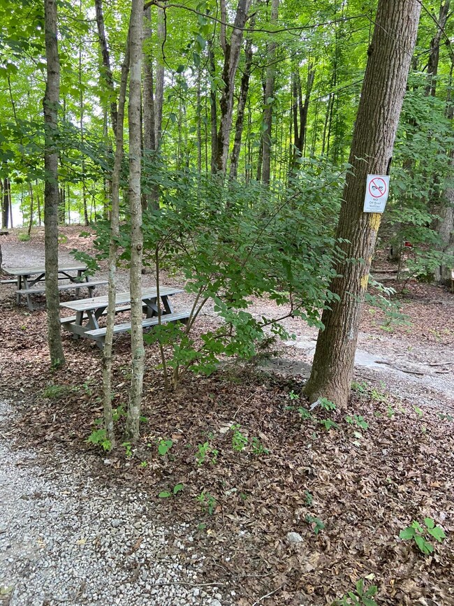 01 Baker Dr, Burnside, KY 42519 - photo 7