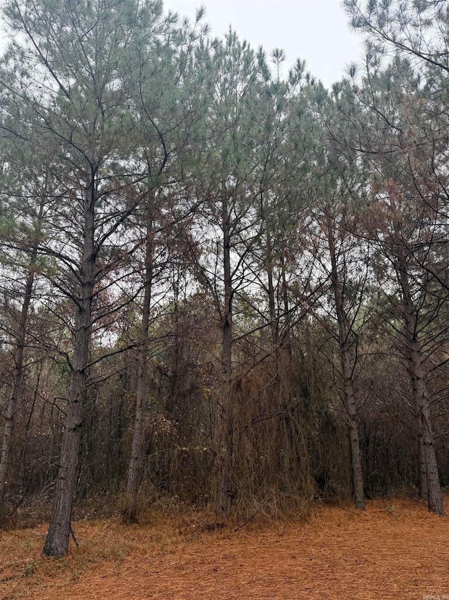 TBD Loan Oak Rd, Lockesburg, AR 71846 - photo 2