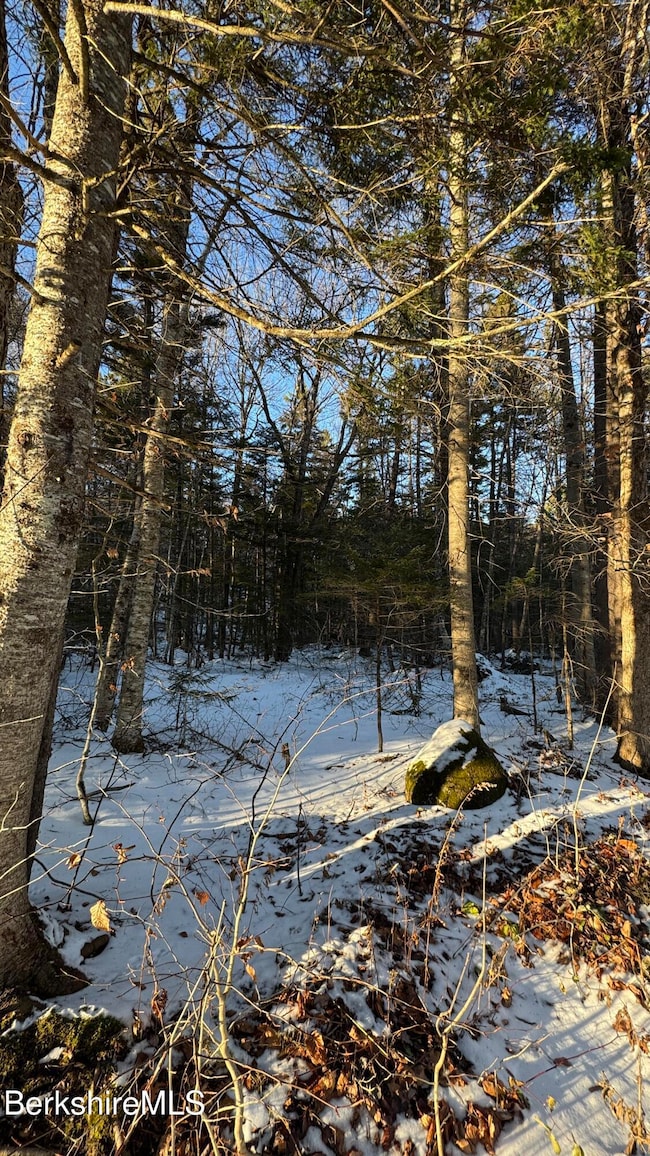 lot139&140 Bergrucken Ln, Readsboro, VT 05350 - photo 5