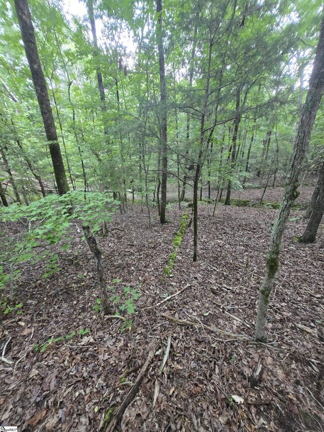 0 Dockside Dr, Iva, SC 29655 - photo 6