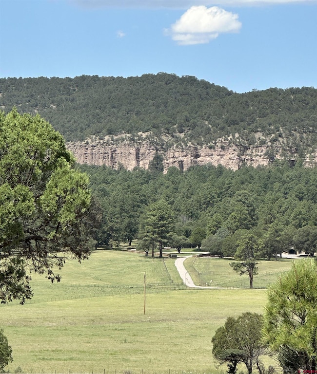200 Meadow Ln unit Sky Ranch, Mimbres, NM 88049 - photo 4