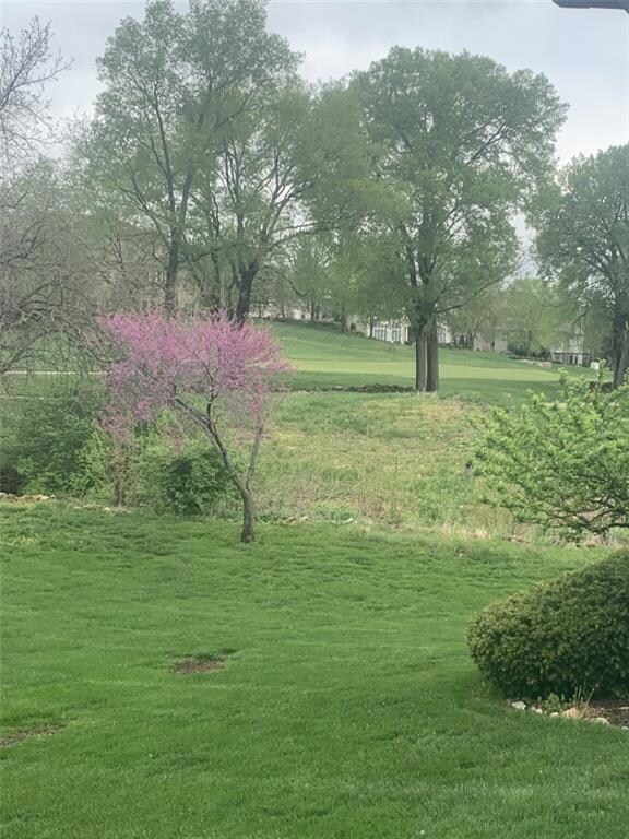 20512 W 98th Place, Lenexa, KS 66220 - photo 3