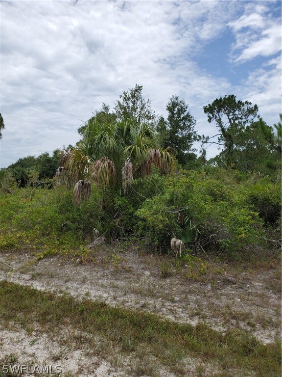 3313 51st St W, Lehigh Acres, FL 33971 - photo 3