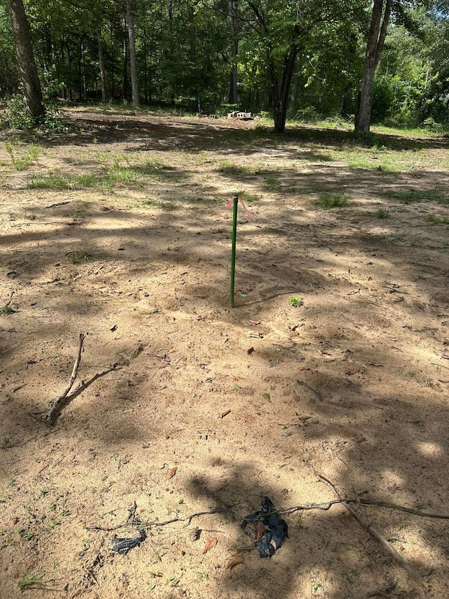 170 Pressley Ln, Hephzibah, GA 30815 - photo 5