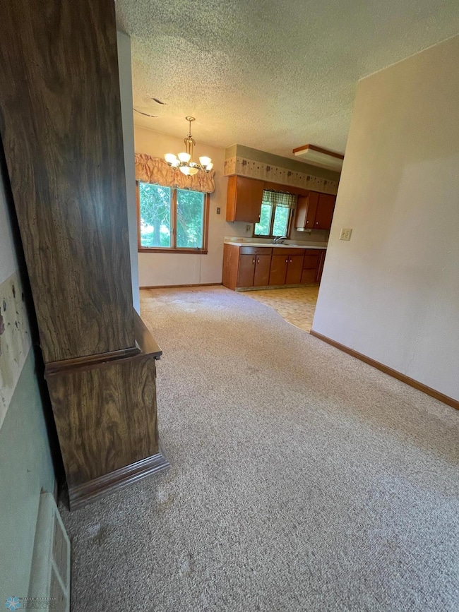 201 N 1st St, Fort Ransom, ND 58033 - photo 6