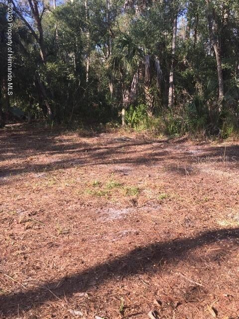 3901 Packinghouse Rd, Alva, FL 33920 - photo 4