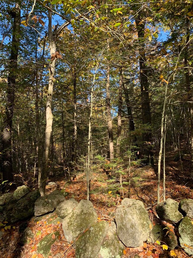 Lot 2 Journeys End Rd, Francestown, NH 03043 - photo 5