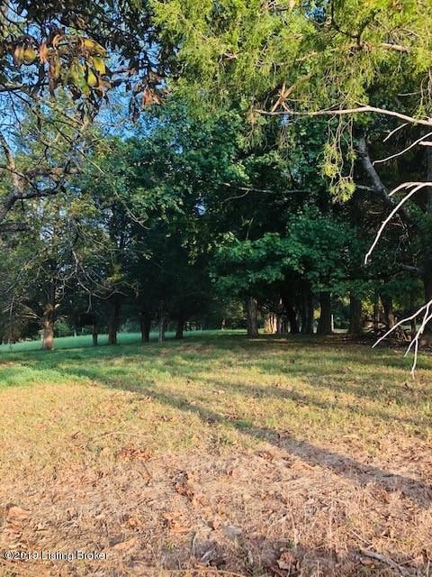 10103 Oak Grove Rd, Louisville, KY 40291 - photo 4