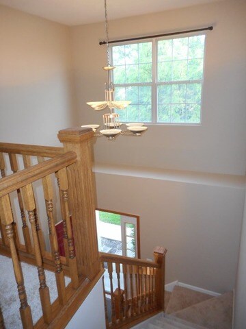 219 Grays Dr unit 219, Oswego, IL 60543 - photo 6