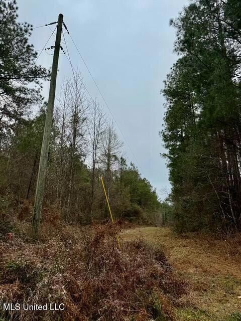 0 Maypop Ln unit 4104657, Meadville, MS 39653 - photo 5