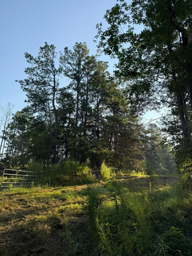 0 Sumrall Rd unit 24629682, Crystal Springs, MS 39059 - photo 7