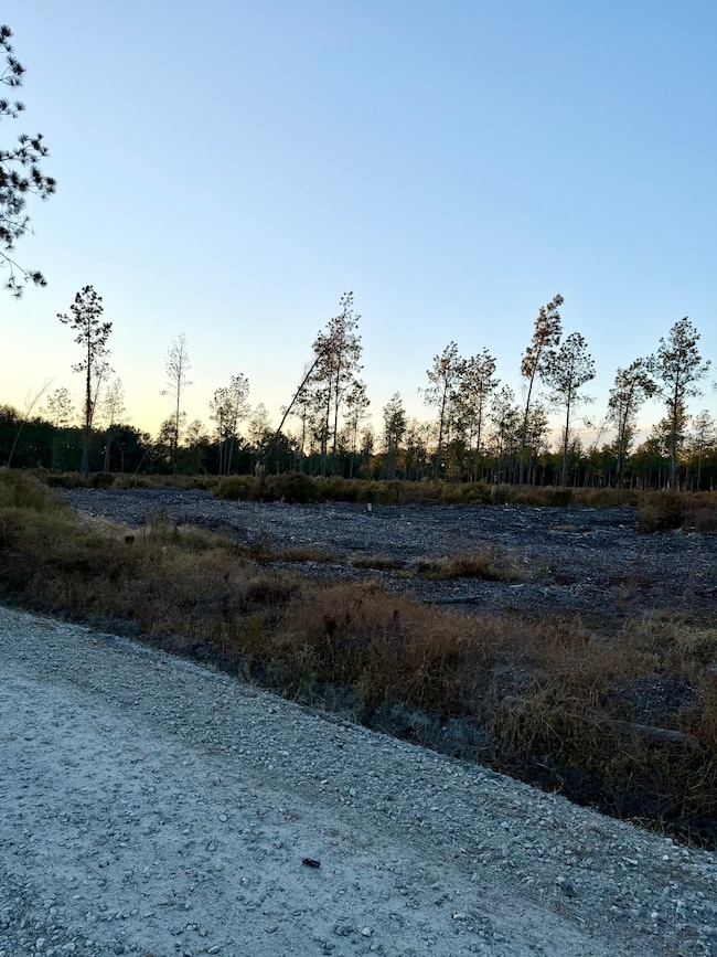 TBD Nat Rd unit 4, Early Branch, SC 29916 - photo 2