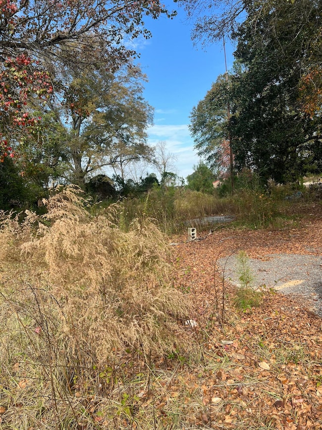 335 Myrtle Beach Hwy, Sumter, SC 29153 - photo 3