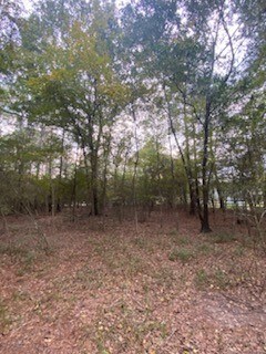 0 Sundew Ct unit 68744542, Magnolia, TX 77355 - photo 5