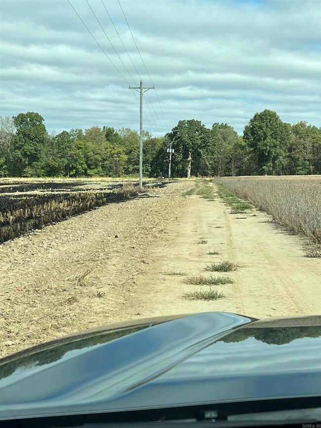 849 Cr 206, Peach Orchard, AR 72453 - photo 4