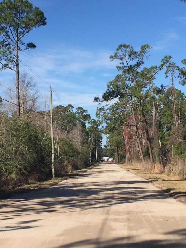 Road view