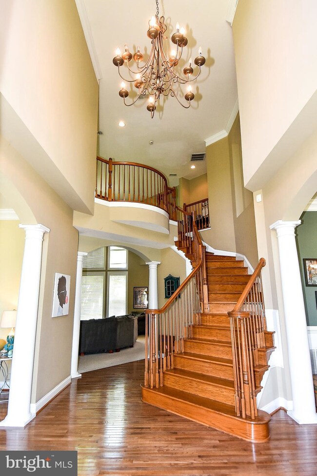 43417 Cedar Pond Place, Chantilly, VA 20152 - photo 6