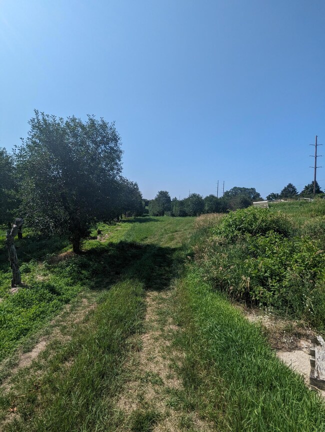 PXL_20230721_151840422