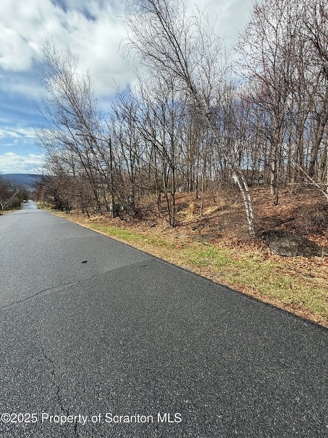 16 Cherry St, Scranton, PA 18505 - photo 2