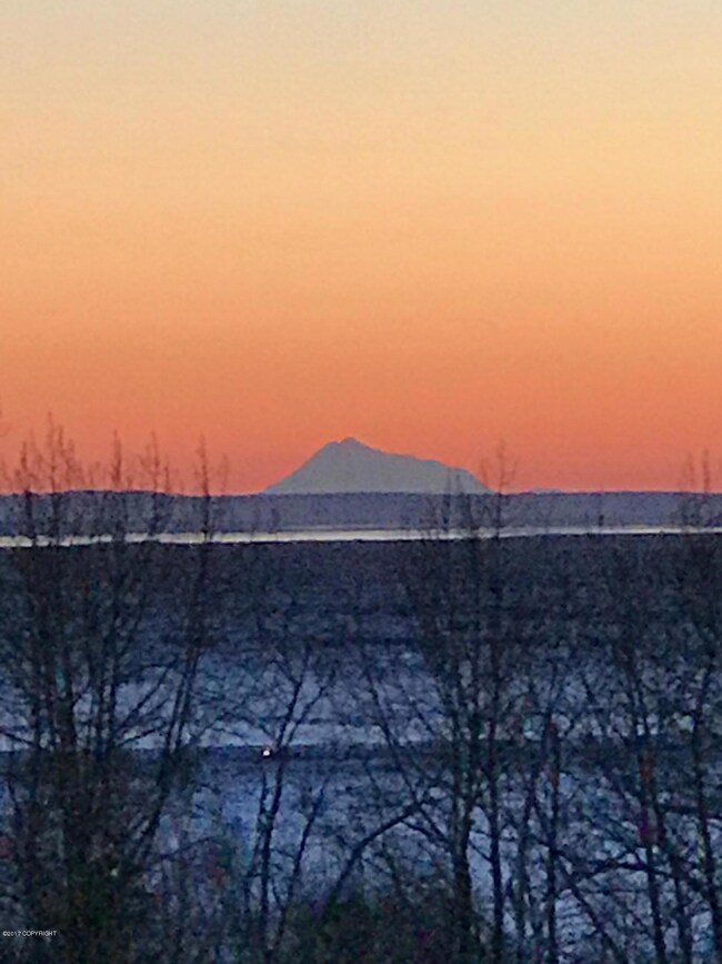 4341 Sage Cir, Anchorage, AK 99516 - photo 2