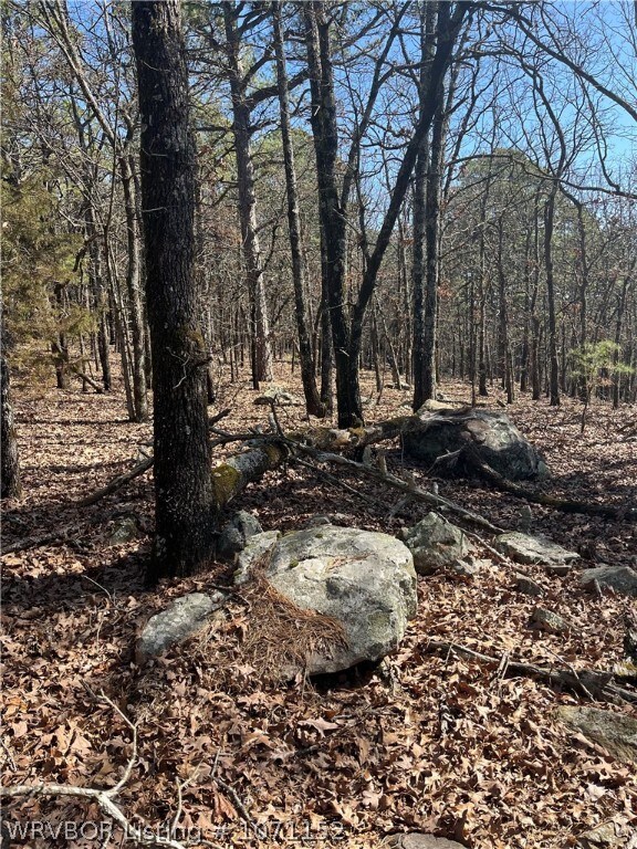 TBD 1156th Ave, Red Oak, OK 74563 - photo 6