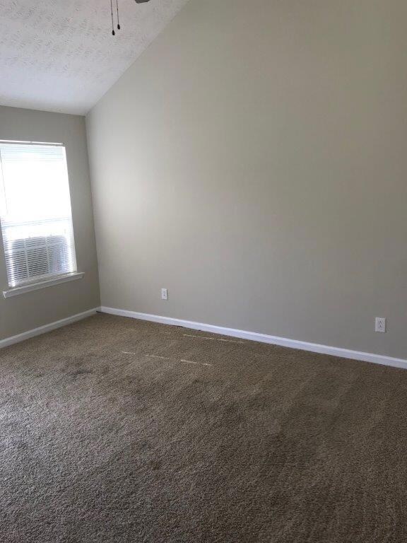 vaulted ceiling in living room