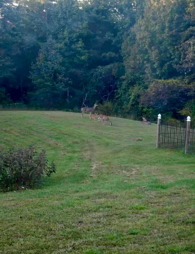 att.VbEDl9goOI4vTDjOOQA72EJ_23t8ouXIROo5