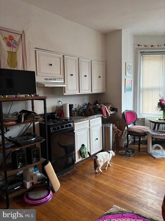 259 S 46th St unit 2F, Philadelphia, PA 19139 - photo 6