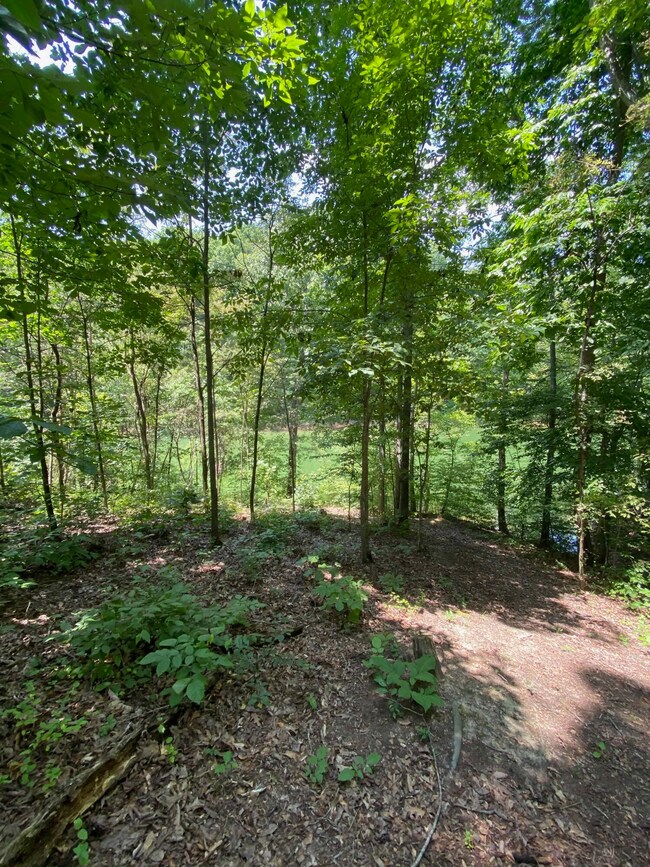 6234 Outlook Trl - 4