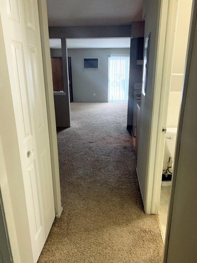 535 W Lies Rd unit 1, Carol Stream, IL 60188 - photo 6