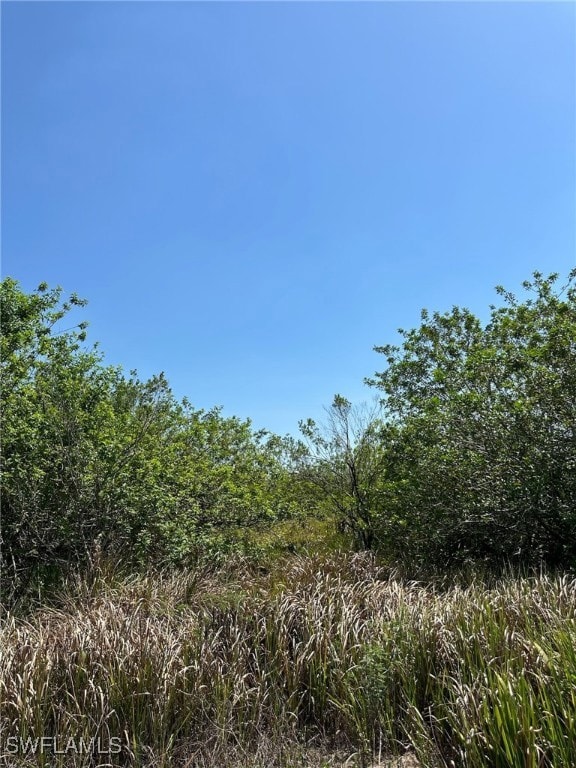 0 6th Ave unit 225052101, Labelle, FL 33935 - photo 3