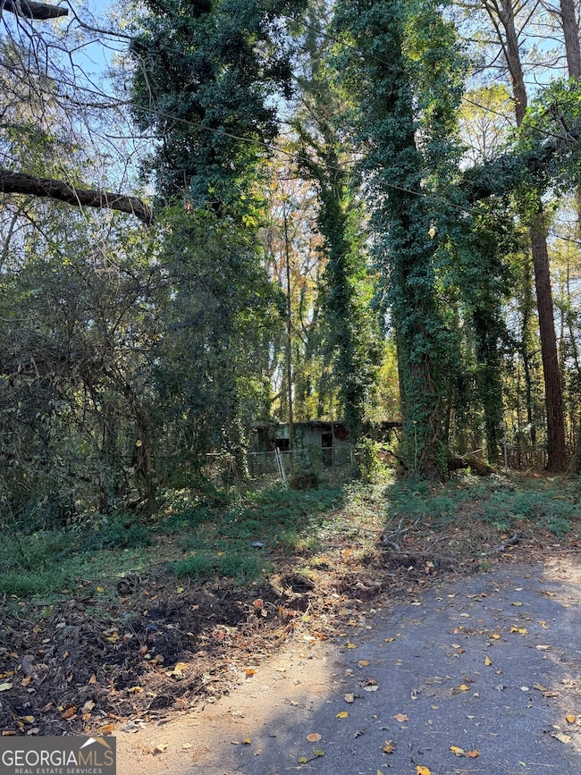 2320 Park Way SW, Atlanta, GA 30315 - photo 2