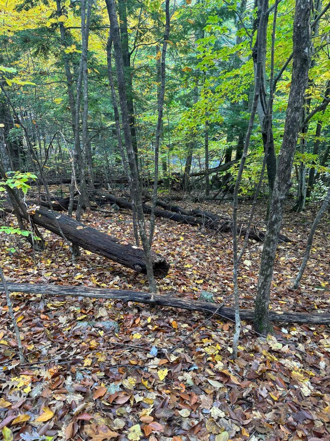 20 Sagamore Rd, Gilford, NH 03249 - photo 3