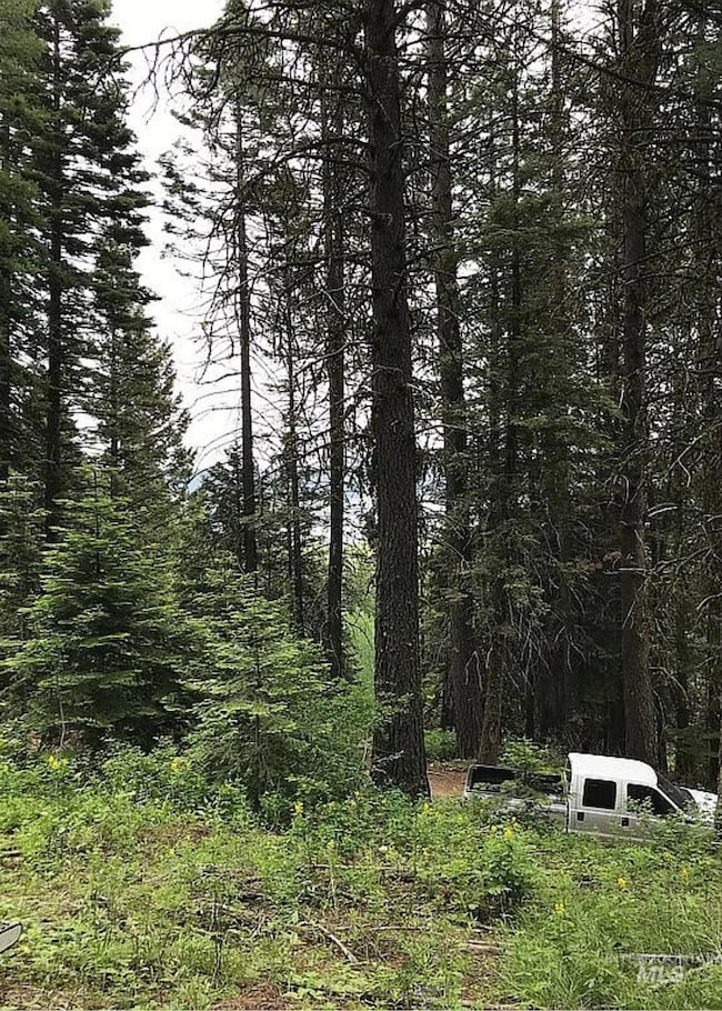 66 Hillside Trail, Donnelly, ID 83615 - photo 6