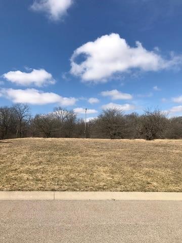 7369 English Oak Ln, Spring Grove, IL 60081 - photo 3