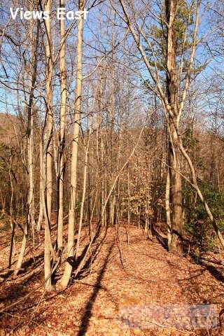 1531 Shell Creek Rd, Ferguson, NC 28624 - photo 6