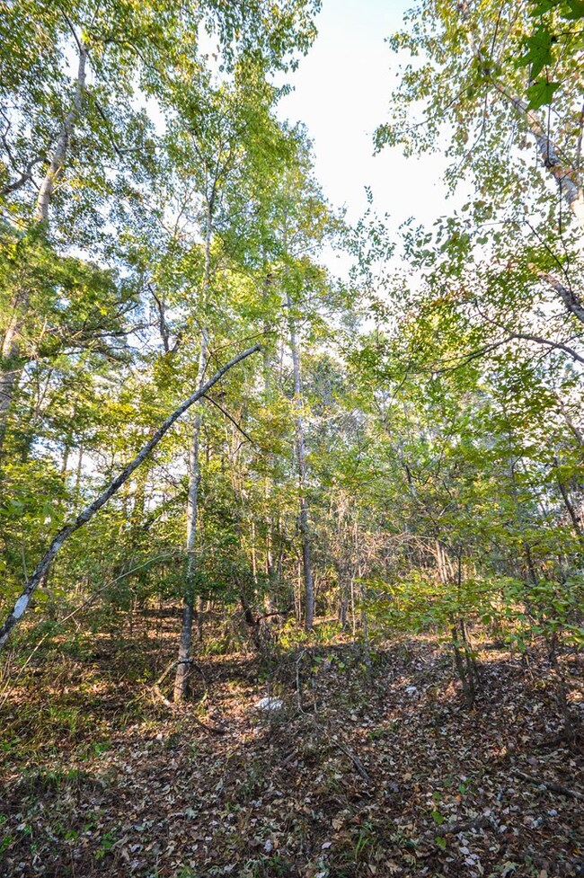 000 Deer Run Rd, Nacogdoches, TX 75964 - photo 7