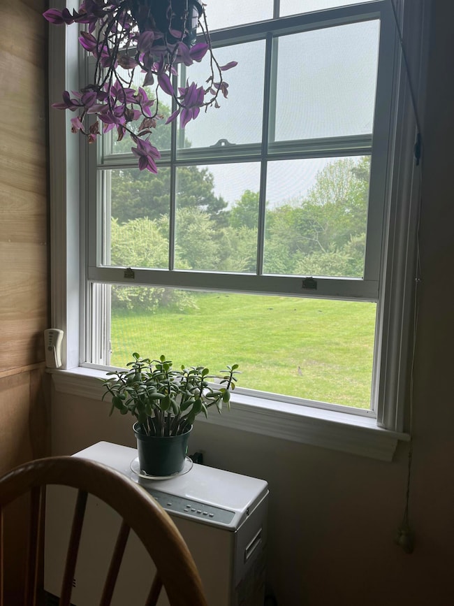 wind window