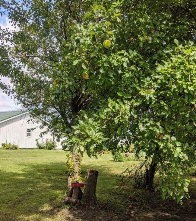 1112 N 19th St, Mattoon, IL 61938 - photo 5