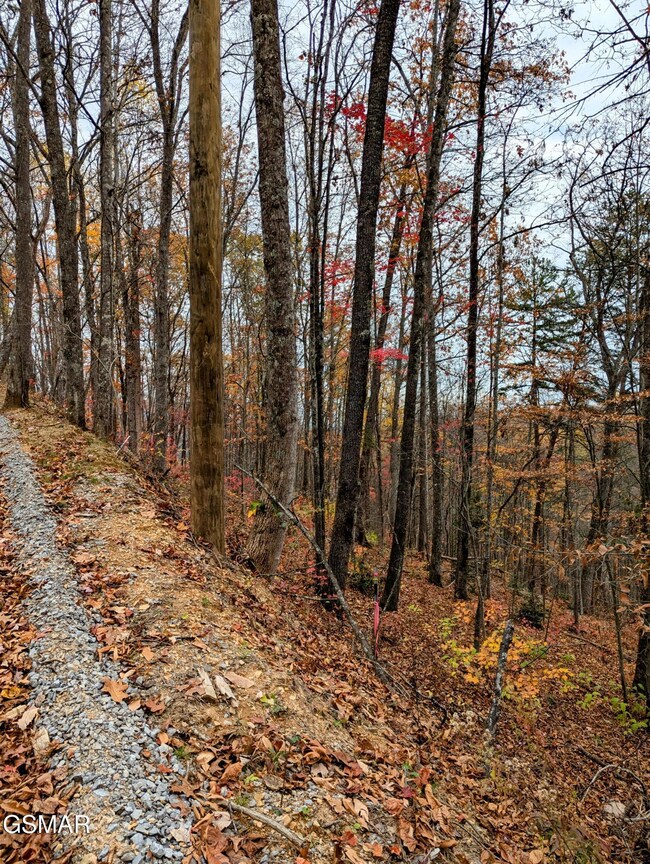 2317 Grey Fox Run, Sevierville, TN 37862 - photo 7