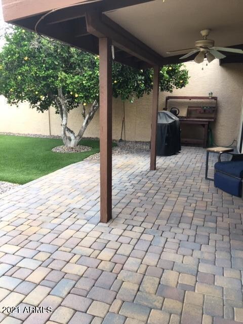 backyard pic 1