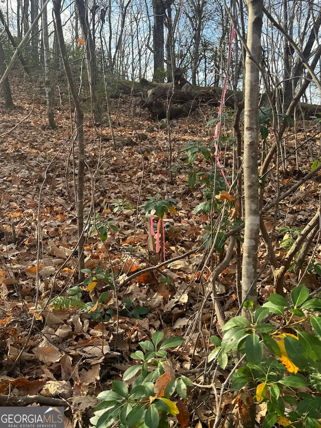 0 Geneva Place unit 10648186, Sautee Nacoochee, GA 30571 - photo 6