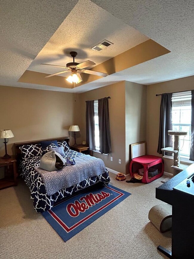 120 Greystone Blvd, Oxford, MS 38655 - photo 7