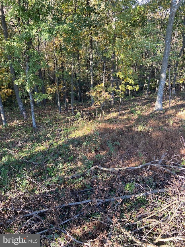 0 Llama Ln, Licking Creek Township, PA 17238 - photo 4
