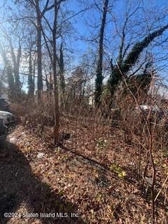 0 Seely Ln, Staten Island, NY 10308 - photo 5