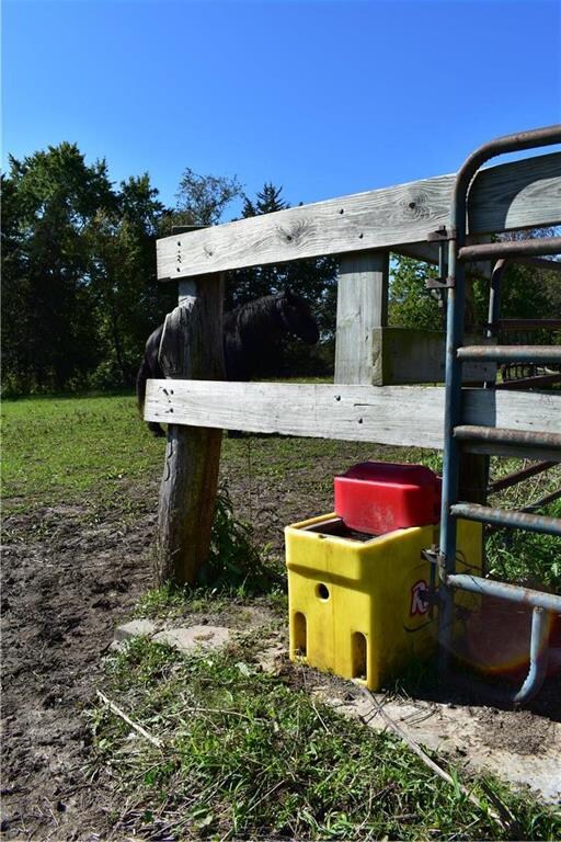 Automatic livestock waterer