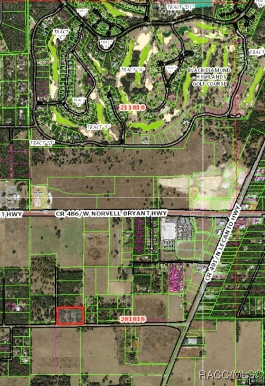 3839 W Horace Allen St, Lecanto, FL 34461 - photo 5